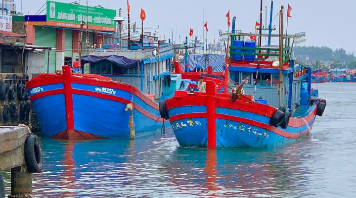Những tàu cá có chiều dài từ 15m trở lên khi hoạt động khai thác thủy sản bắt buộc phải lắp GSHT